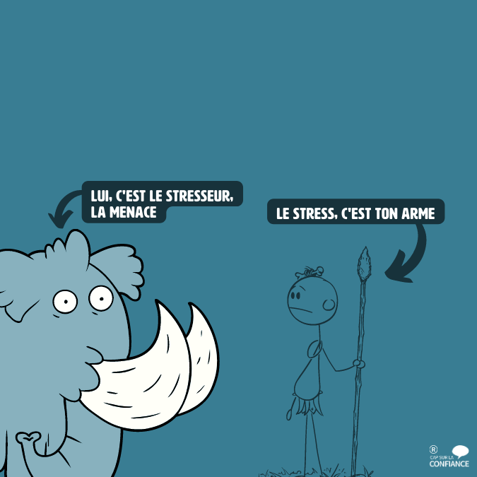 stresseur vs stress